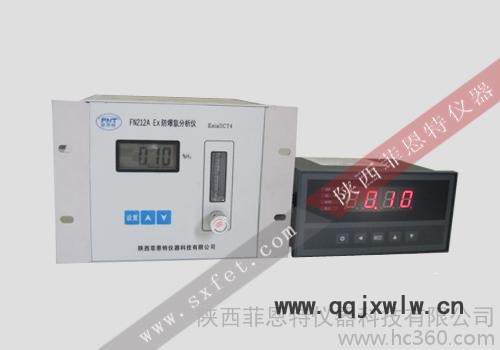 供應(yīng)FN212A Ex防爆氫分析儀
