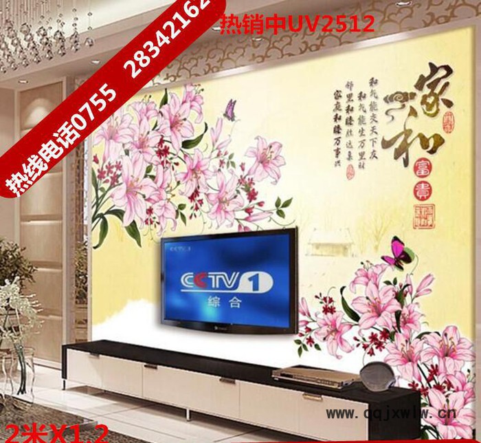 工業(yè)級(jí)背景墻 客廳背景墻uv平板打印機(jī) 3d立體彩印背景墻