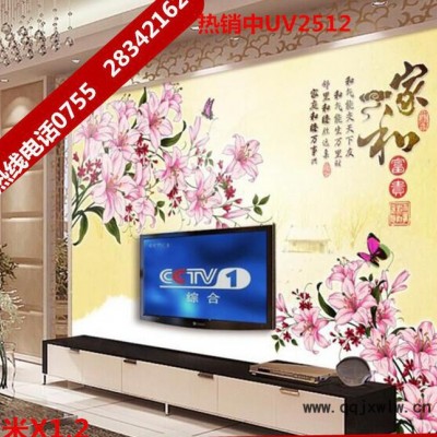 工業(yè)級(jí)背景墻 客廳背景墻uv平板打印機(jī) 3d立體彩印背景墻