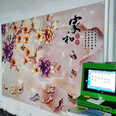 大型立式高清3D墻體打印彩繪機(jī) 墻體繪畫機(jī) 5D背景文化墻噴繪機(jī)