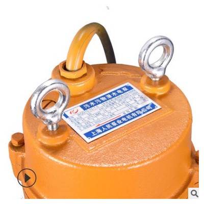 市場(chǎng)型小型污泵家用潛污泵潛水排污泵污水提升泵 220V人民污水泵