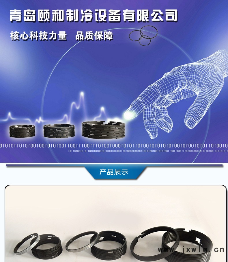 制冷機(jī)活塞環(huán)_01