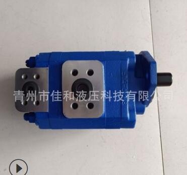 P124系列雙聯(lián)齒輪油泵 P124B182XDZA05-54PBZA02-1 泊姆克雙聯(lián)泵
