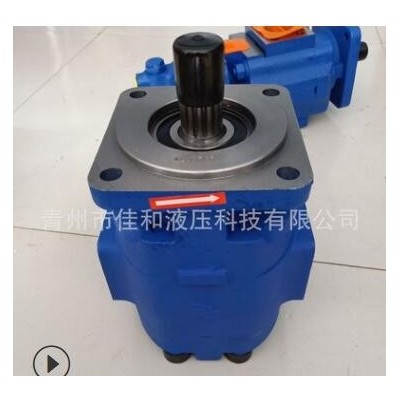 成工裝載機(jī)工作泵 P7200-F160NM467 6G 泊姆克齒輪油泵供應(yīng)