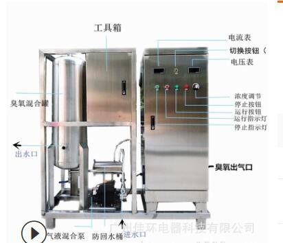 100g高濃度臭氧水機 水產(chǎn)肉雞屠宰 加工臭氧消毒機消毒