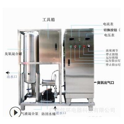 100g高濃度臭氧水機 水產(chǎn)肉雞屠宰 加工臭氧消毒機消毒