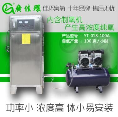 湖北水處理臭氧發(fā)生器廠家 氧氣源100g高濃度純水臭氧消毒機
