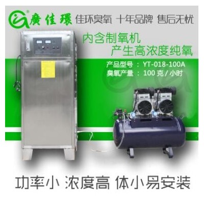 湖北水處理臭氧發(fā)生器廠家 氧氣源100g高濃度純水臭氧消毒機