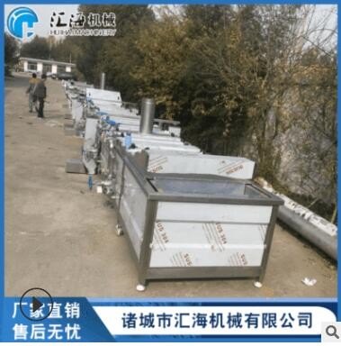 辣椒清洗機(jī)生產(chǎn)線 大型氣泡蔬菜清洗機(jī) 果蔬清洗加工設(shè)備生產(chǎn)線